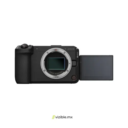5.webp