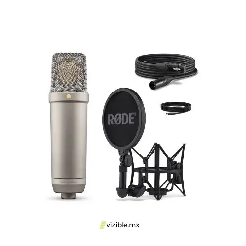 rode-nt1-5th-generation-plateado1702563061-4.webp
