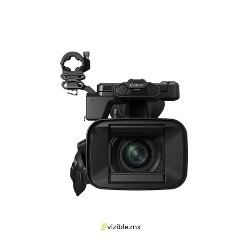 5.webp