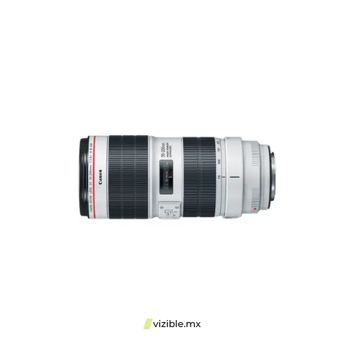 Canon EF 70-200mm f/2.8L IS III USM