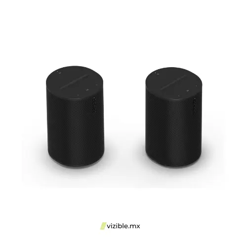 Sonos Era 100 Pro Altavoz inteligente para instalación (Color Negro)